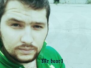 Mr_bear1