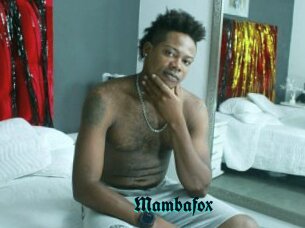 Mambafox