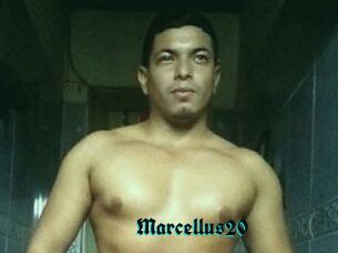 Marcellus20