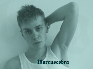 Marcuscobra