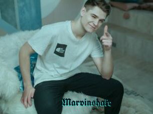 Marvinshake