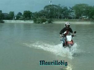 Maurillobig