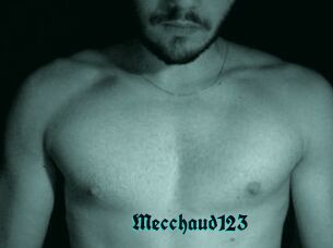 Mecchaud123