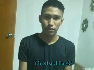Mestizochino23