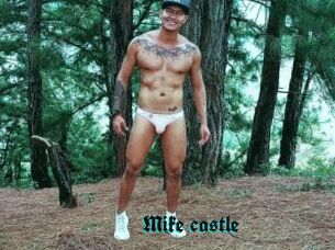 Mike_castle