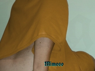 Mimoso