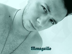 Monaguillo