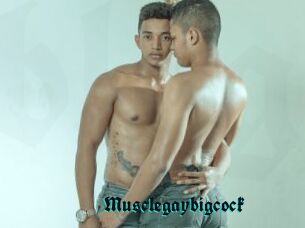 Musclegaybigcock