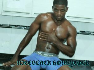 NICEBLACK_HORNYCOCK