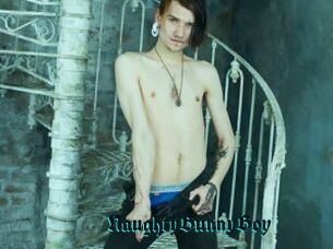 NaughtyBunnyBoy