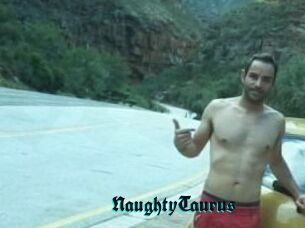 NaughtyTaurus