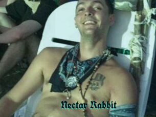 Nectar_Rabbit
