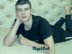 NigelBud