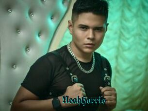 NoahHarris