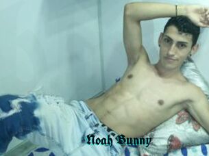 Noah_Bunny