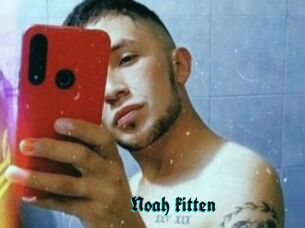 Noah_kitten