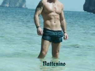 Nattenino