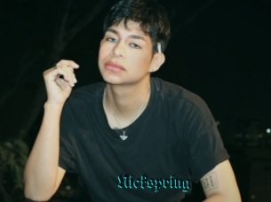 Nickspring