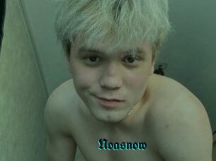 Noasnow