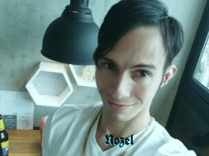 Nozel