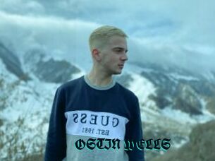 OSTIN_WELLS