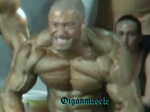Oigan_muscle