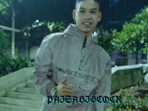 PAISABIGCOCK
