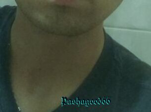 Pashagood66