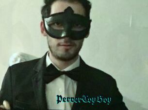 PerverToyBoy