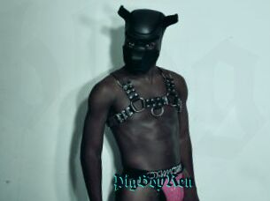 PigBoyRen