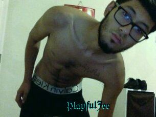 PlayfulJoe