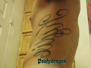 Poofydragon