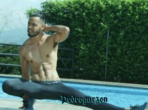 Pedrogarzon