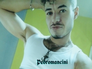 Pedromancini