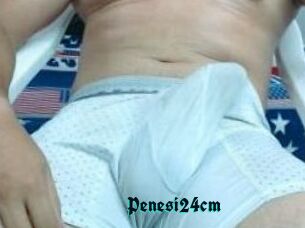 Penesi24cm