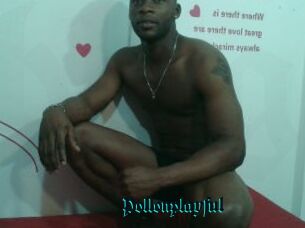 Pollonplayful