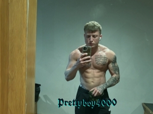 Prettyboy4000
