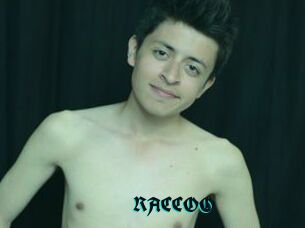 RACCOO