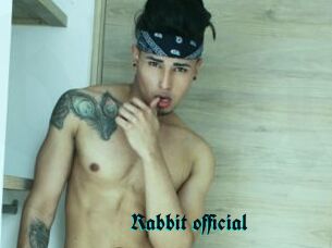 Rabbit_official