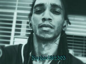 Raphael882303