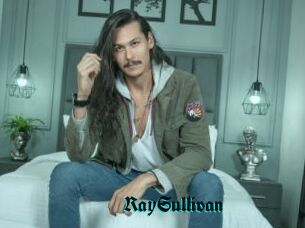 RaySullivan