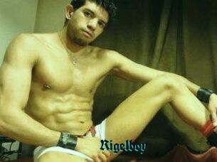Rigelboy