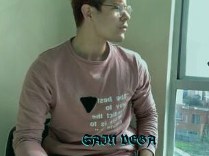 SAIN_VEGA