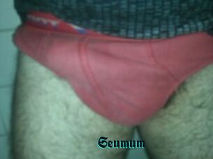 Seumum