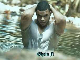 Shein_A