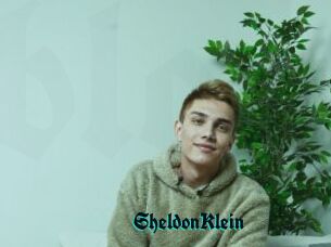 SheldonKlein