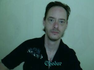 Shodar