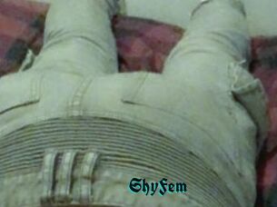 ShyFem