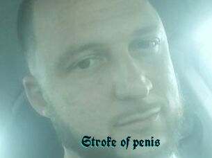 Stroke_of_penis