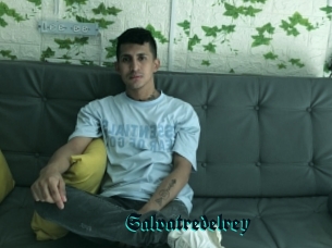 Salvatredelrey